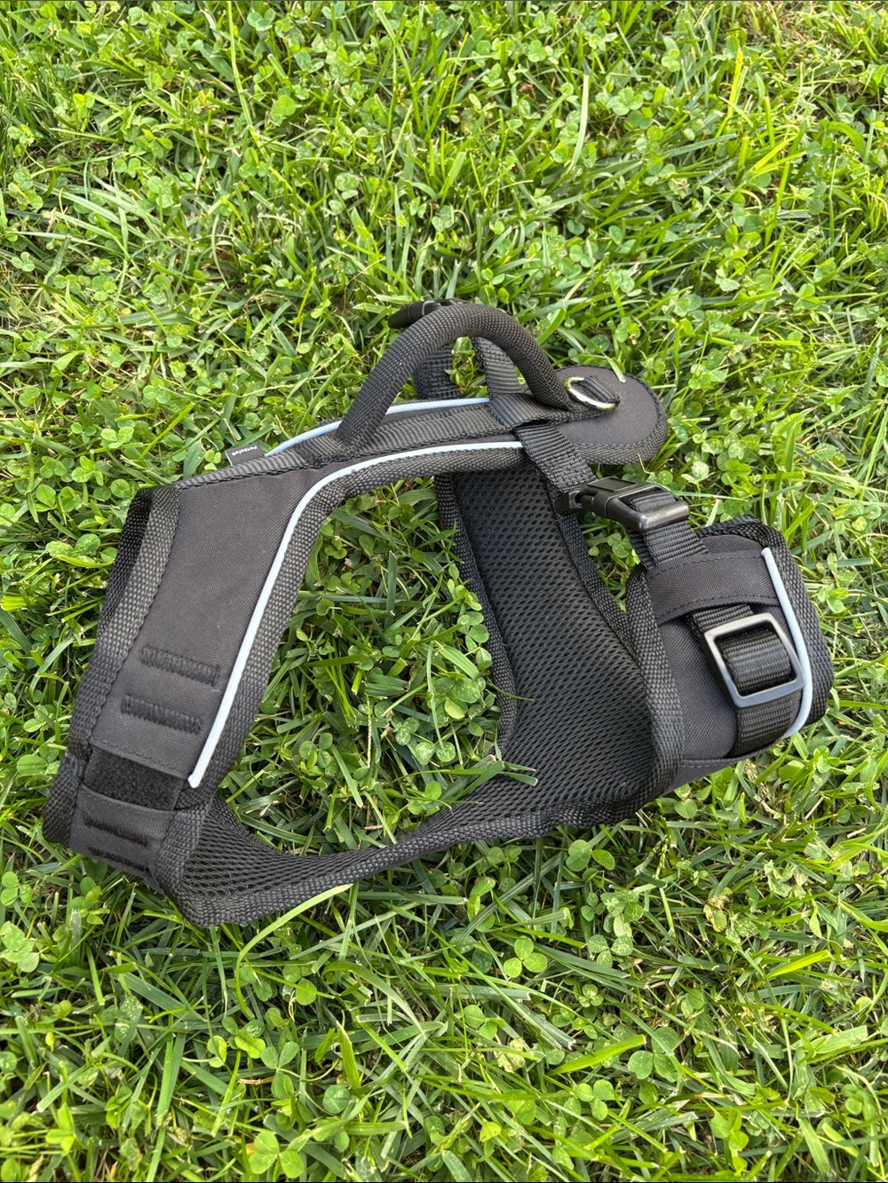 Easy Sport Dog Harness
